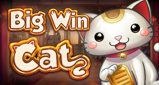 Big Win Cat